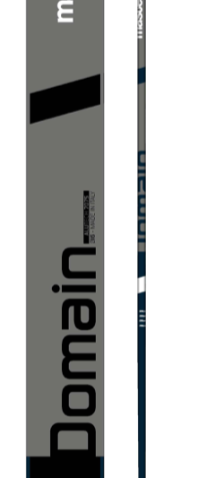Masters Domain ski poles on World Cup Ski Shop