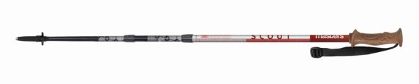 Scout trekking poles by Masters on World Cup Ski Shop 1