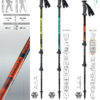 NEW Ranger trekking poles by Masters on World Cup Ski Shop 2